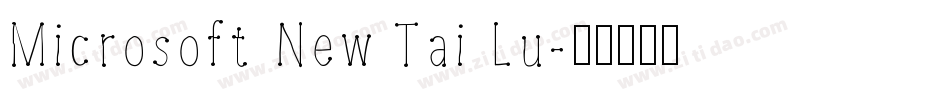 Microsoft New Tai Lu字体转换